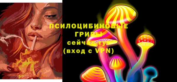 спайс Аркадак